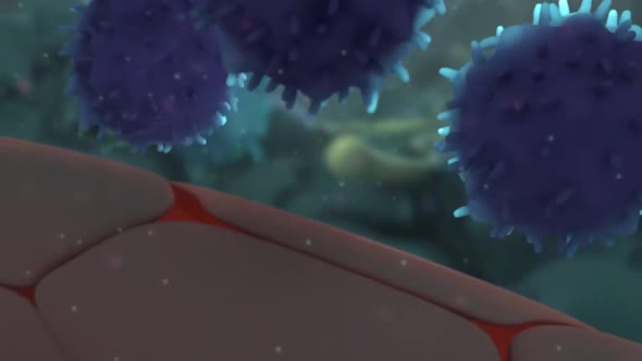 Nerves in the joints alt