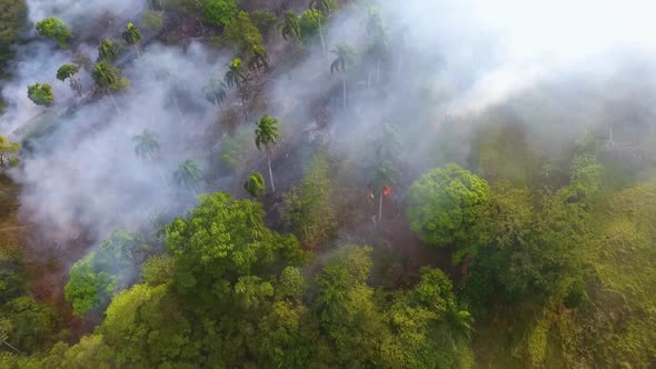 Aerial view of bushfire deforestation burning and smoking, in jungle of New South Wales, sunny day, alt