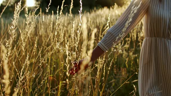 Woman Touching Grass on Sunset