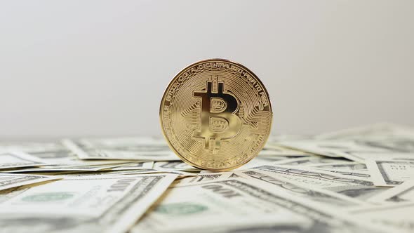 Gold bitcoin rotating on dollar background alt