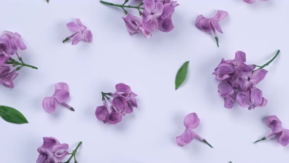 Background of Purple Lilac Flowers on a Peach or Beige Background