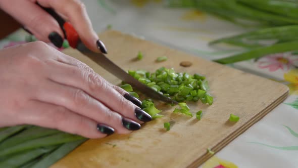 Woman Chopping Green Onions on a Wooden Cutting Board alt