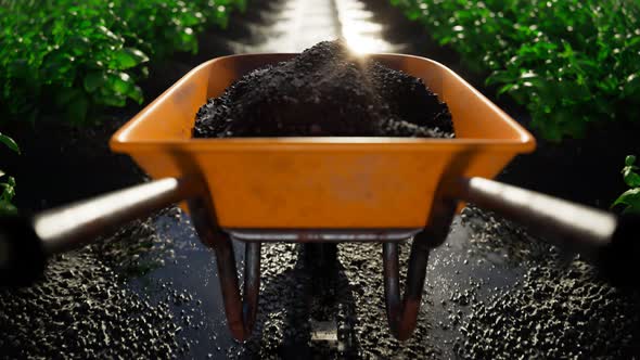 Yellow wheelbarrow pushed through the garden on wet soil. Looping animation 4KHD alt