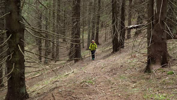 A Woman with a Backpack Travels in the Forest alt