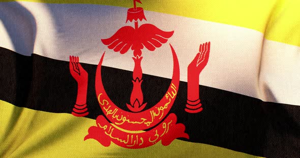 Brunei - Flag - 4K alt