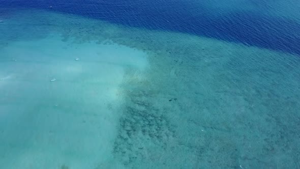 Aerial drone landscape of coastline beach wildlife by blue water with sand background alt