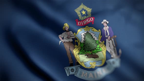 Maine State Flag Angle