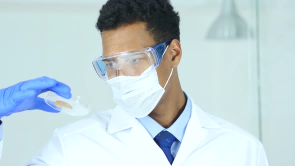Afro-American Scientist Studying Reaction in Watch Glass alt