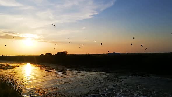 River and Birds at sunset background