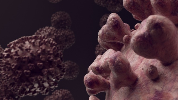 Covid-19 Corona Delta Lambda Variant V1 alt