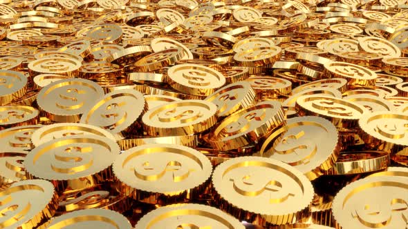 Dollar Gold Coins Rotating Exposition alt