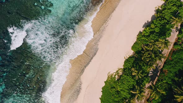 Aerial Top Down View of Tropical Sand Beach Ocean Waves and Palm Trees alt