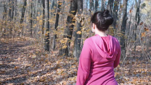 Focused sportswoman with nordic walking poles does cardio intensive training in autumn park alt