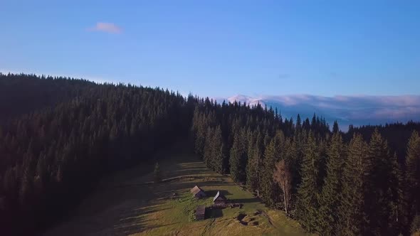 Flying Over Village of Shepherd and Forest in the Mountains alt