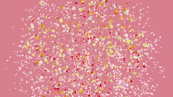 Flower Burst Pastel Background 4K alt