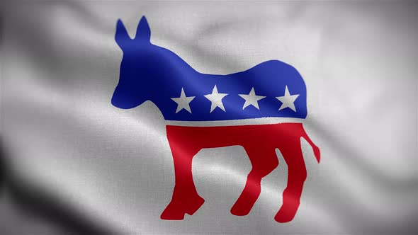 Democrat Flag Front by shaneyork | VideoHive