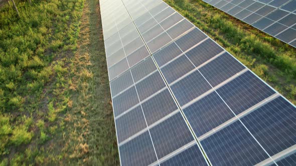 Aerial View Solar Power Station on Green Field at Sunset Solar Panels in Row alt
