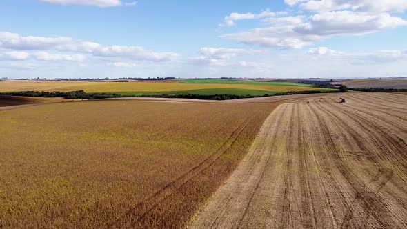 Aerial Footage of Soybean Field