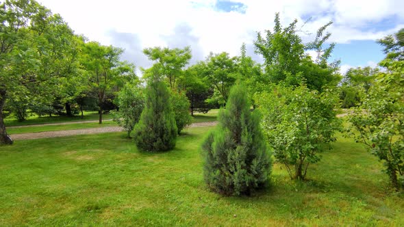 Big Green Park in the City