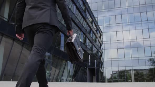 Elegant Man With Suitcase alt