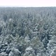 Winter Forest Aerial - VideoHive Item for Sale