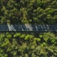 Aerial Of The Road In Forest 2 - VideoHive Item for Sale