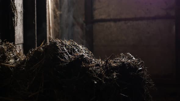 Heat evaporates from nitrogen rich soil fertilizer 4K 2160p 30fps UltraHD footage - Mixture of anima alt