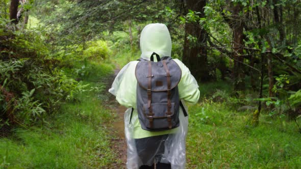 Back View Happy Free Hiker Woman with Backpack Exploring Jungle Rainforest Rain alt
