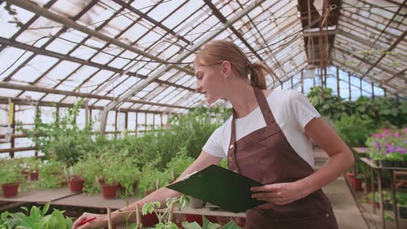 The Woman Works in the Greenhouse and Checks the Presence of the Right Flowers on the Customer's