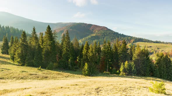 Carpathians Ukraine alt
