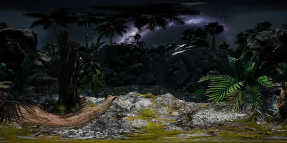 Vr 360 Camera Hyperlapse Star Trails Over Sandstone Canyon Walls and Trees alt