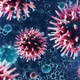 New Dangerous Virus 4K - VideoHive Item for Sale