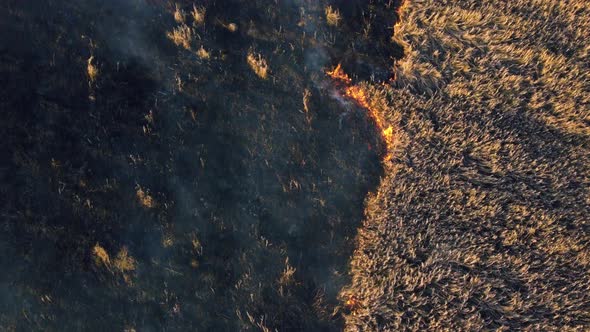 Aerial View Fire Extinguishing alt