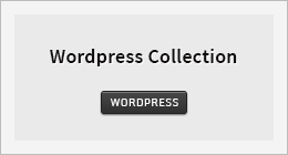 Wordpress Items