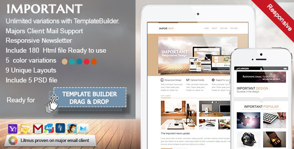 IMPORTANT-Responsive Email Template - ThemeForest 5429994
