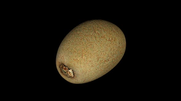 3D animation of a spinning kiwi fruit on a black background