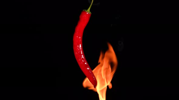 Red Hot Chili Peppers Roasting Over Fire on Black Studio Background alt
