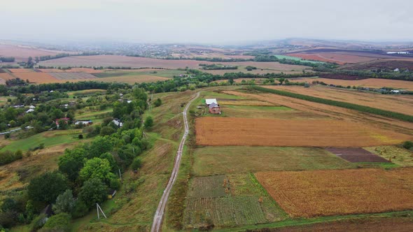 Aerial view of the countryside with houses and fields with grain plantations.