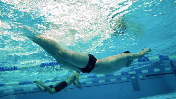 Male Swimmers' Training Session Captured in an Underwater View alt