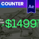 Number Counter - VideoHive Item for Sale