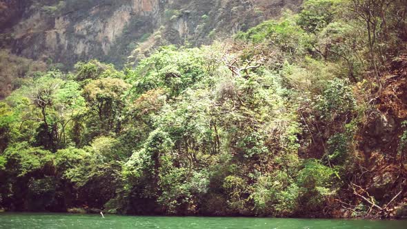 River flowing between rocks alt