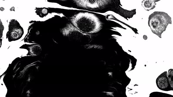 Ink Bloom. Beautiful Black Watercolor Ink Drops Transition on a White Background. alt