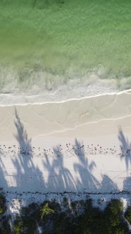 Tanzania  Vertical Video Empty Beach on Zanzibar Island Slow Motion alt