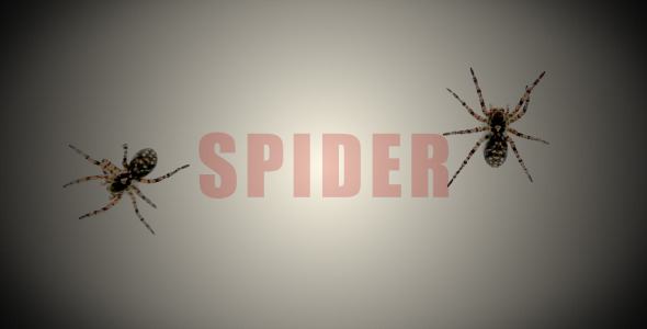 Spider Pack