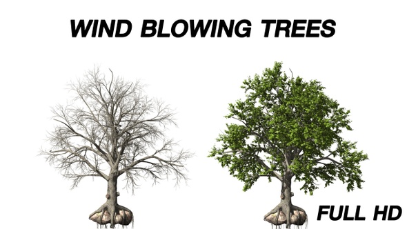 Wind blowing Tree