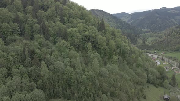 Landscape of the Carpathian Mountains. Slow Motion. Ukraine. Aerial. Gray, Flat alt