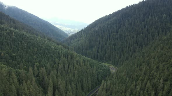 Nature of Ukraine: Carpathian Mountains Slow Motion. Aerial View alt