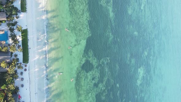Vertical Video of the Coast of Zanzibar Island Tanzania Slow Motion alt