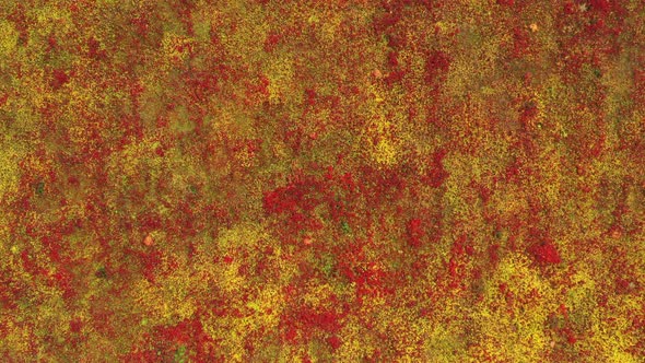 Red and Yellow Grass Background alt