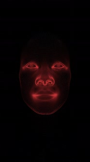 Vertical Video of a Hologram of a Person's Head alt